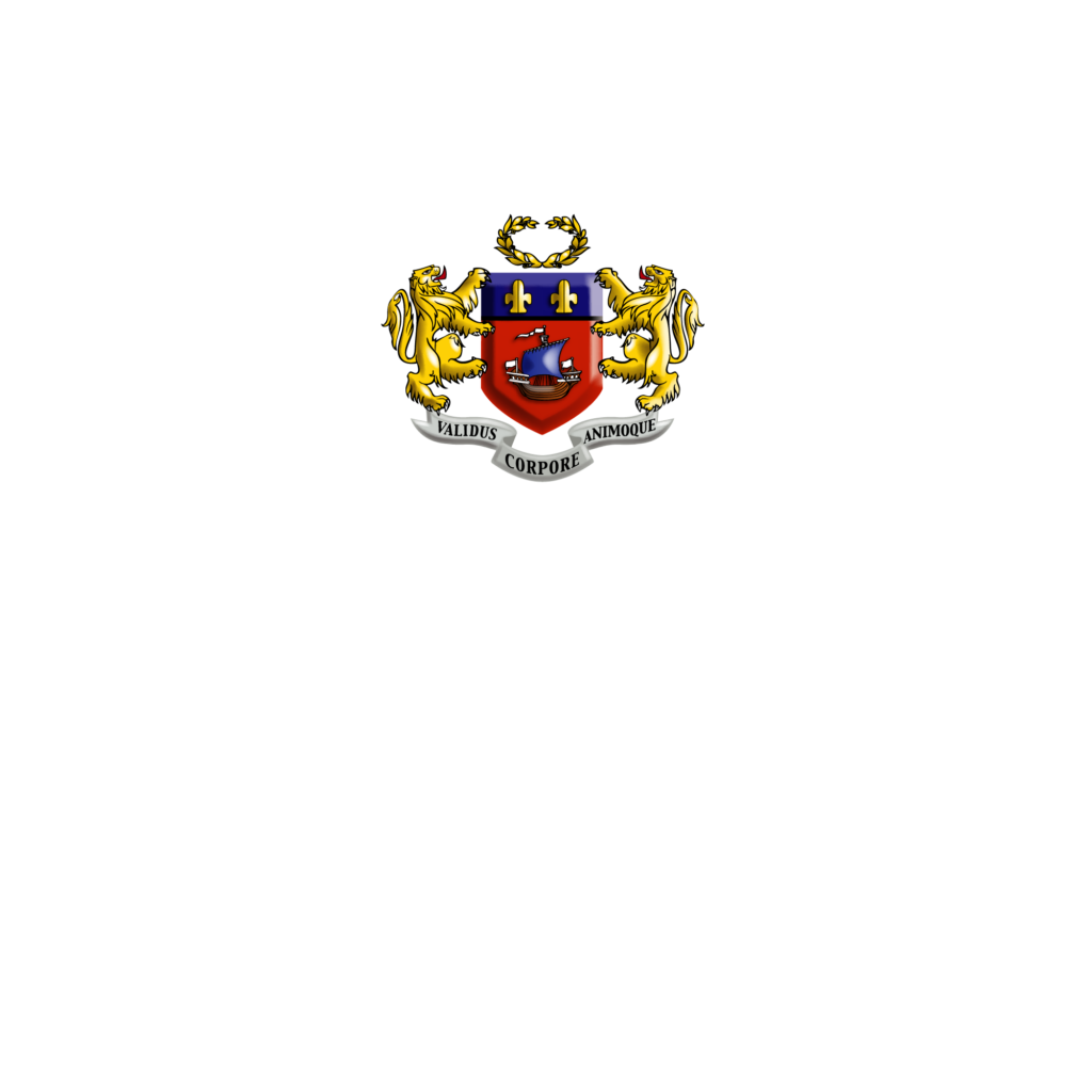 Large BSP Logo